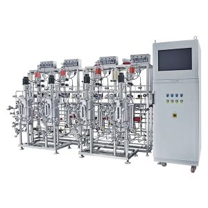 flere parallelle rustfri stålgæringsbeholdere